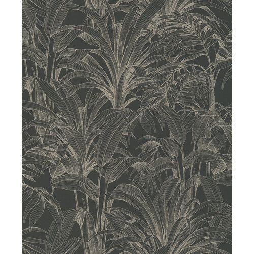 Dutch Wallcoverings Asperia - Aliare - Zwart/Zilver
