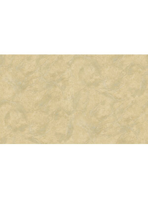 Dutch Wallcoverings Blumarine 5 - 45029053