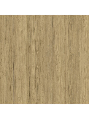 Dutch FC Elements- Trä Ash - 11908