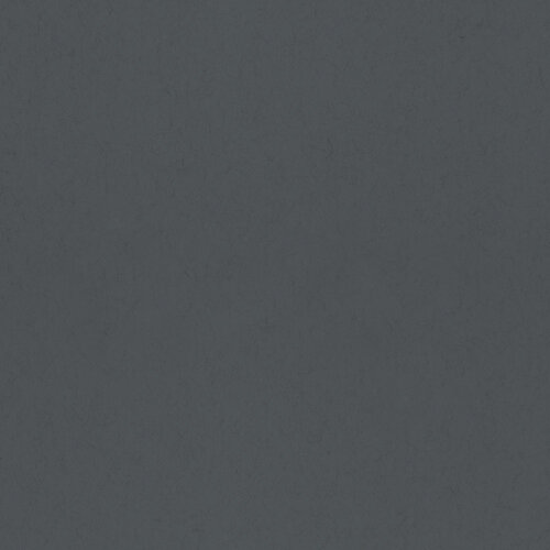 Dutch Wallcoverings Elements - Uni Blackbird
