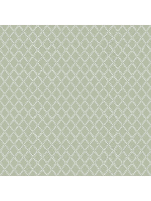 Midbec FC Fagelsang- Trevor Green/white - 34037