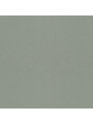 Dutch Wallcoverings Fagelsang - Uni Avocado Dutch Wallcoverings Fagelsang - Uni Avocado