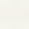 Dutch Wallcoverings Fagelsang - Uni Snow White