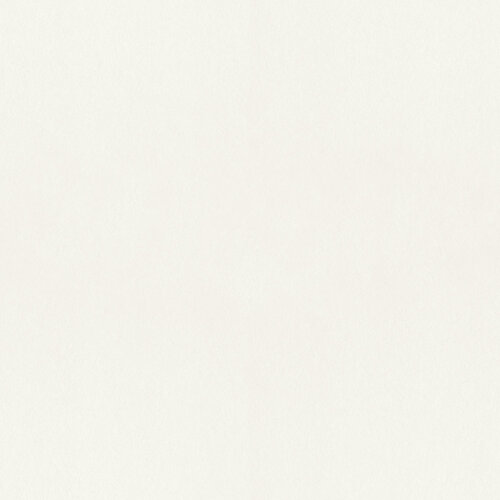 Dutch Wallcoverings Fagelsang - Uni Snow White