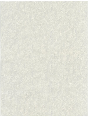 Dutch Wallcoverings Fusione - 45073509