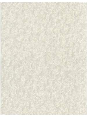 Dutch Wallcoverings Fusione - 45073510