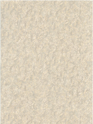 Dutch FC Fusione- 53cmx10m - 73511