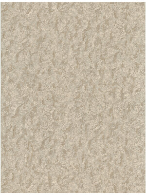 Dutch FC Fusione- 53cmx10m - 73514