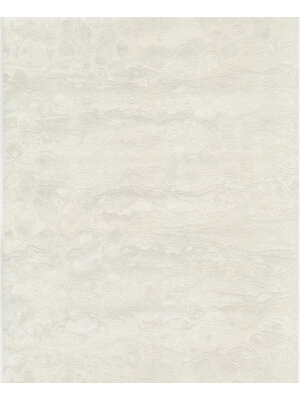 Dutch FC Fusione- 53cmx10m - 73520