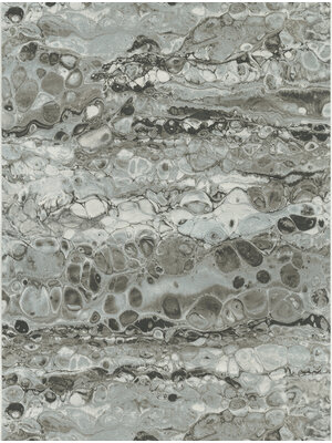 Dutch FC Fusione- 53cmx10m - 73521