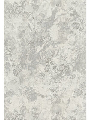 Dutch FC Fusione- 53cmx10m - 73526