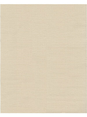 Dutch FC Fusione- 53cmx10m - 73531