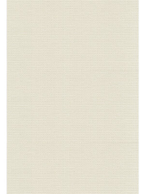 Dutch FC Fusione- 53cmx10m - 73533