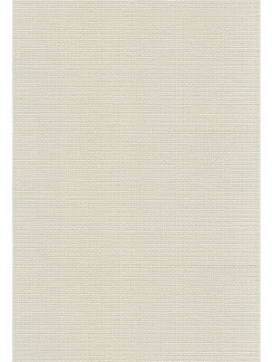 Dutch FC Fusione- 53cmx10m - 73537