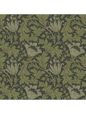 Dutch Wallcoverings Hidden Treasures - Anemone Grn/Zwart