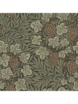Dutch Wallcoverings Hidden Treasures - Vine Zw/Groen