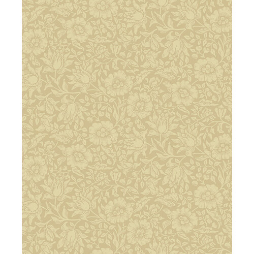 10,05m x 53cm
