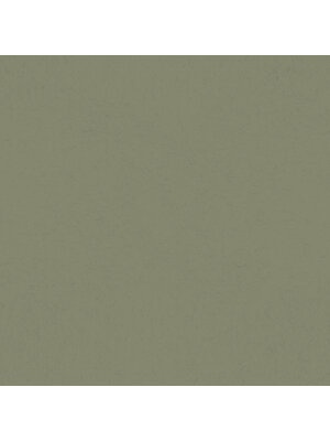 Dutch Wallcoverings Hidden Treasures - Skog Forest Dutch Wallcoverings Hidden Treasures - Skog Forest