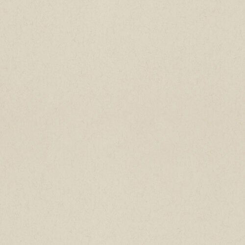 Dutch Wallcoverings Kulör - Uni White Pepper