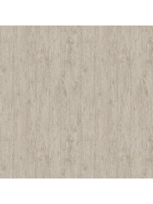 SketchTwenty3 FC Pavone- Tivoli Birch - PA01635