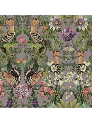 Dutch Wallcoverings Xanadu - Marimo Heather Dutch Wallcoverings Xanadu - Marimo Heather