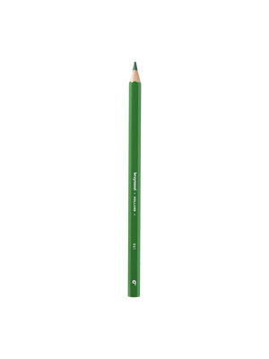 Bruynzeel Mega kleurpotlood - Donkergroen