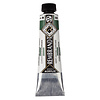 Rembrandt Acrylverf - 40 ml - Chroomoxydgroen 668 Rembrandt Acrylverf - 40 ml - Chroomoxydgroen 668
