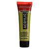 Royal Talens Amsterdam Standard Series Acrylverf Tube 20 ml - Olijfgroen Licht 621