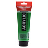 Royal Talens Amsterdam Standard Series Acrylverf Tube 250 ml - Permanentgroen Licht 618