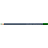Faber Castell Goldfaber Aquarelpotlood - 166 grasgroen Faber Castell Goldfaber Aquarelpotlood - 166 grasgroen