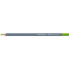 Faber Castell Goldfaber Aquarelpotlood - 170 meigroen Faber Castell Goldfaber Aquarelpotlood - 170 meigroen