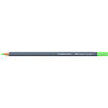 Faber Castell Goldfaber Aquarelpotlood Pastel - Permanent groen 466 Faber Castell Goldfaber Aquarelpotlood Pastel - Permanent groen 466