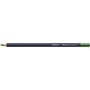 Faber Castell Goldfaber Kleurpotlood - 167 permanent olijfgroen Faber Castell Goldfaber Kleurpotlood - 167 permanent olijfgroen