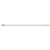 Faber Castell Polychromos - 101 wit Faber Castell Polychromos - 101 wit