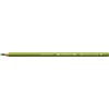Faber Castell Polychromos - 168 aardegroen/geel