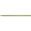 Faber Castell Polychromos - 170 meigroen Faber Castell Polychromos - 170 meigroen