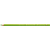 Faber Castell Polychromos - 171 lichtgroen Faber Castell Polychromos - 171 lichtgroen