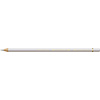 Faber Castell Polychromos - 230 koudgrijs I Faber Castell Polychromos - 230 koudgrijs I
