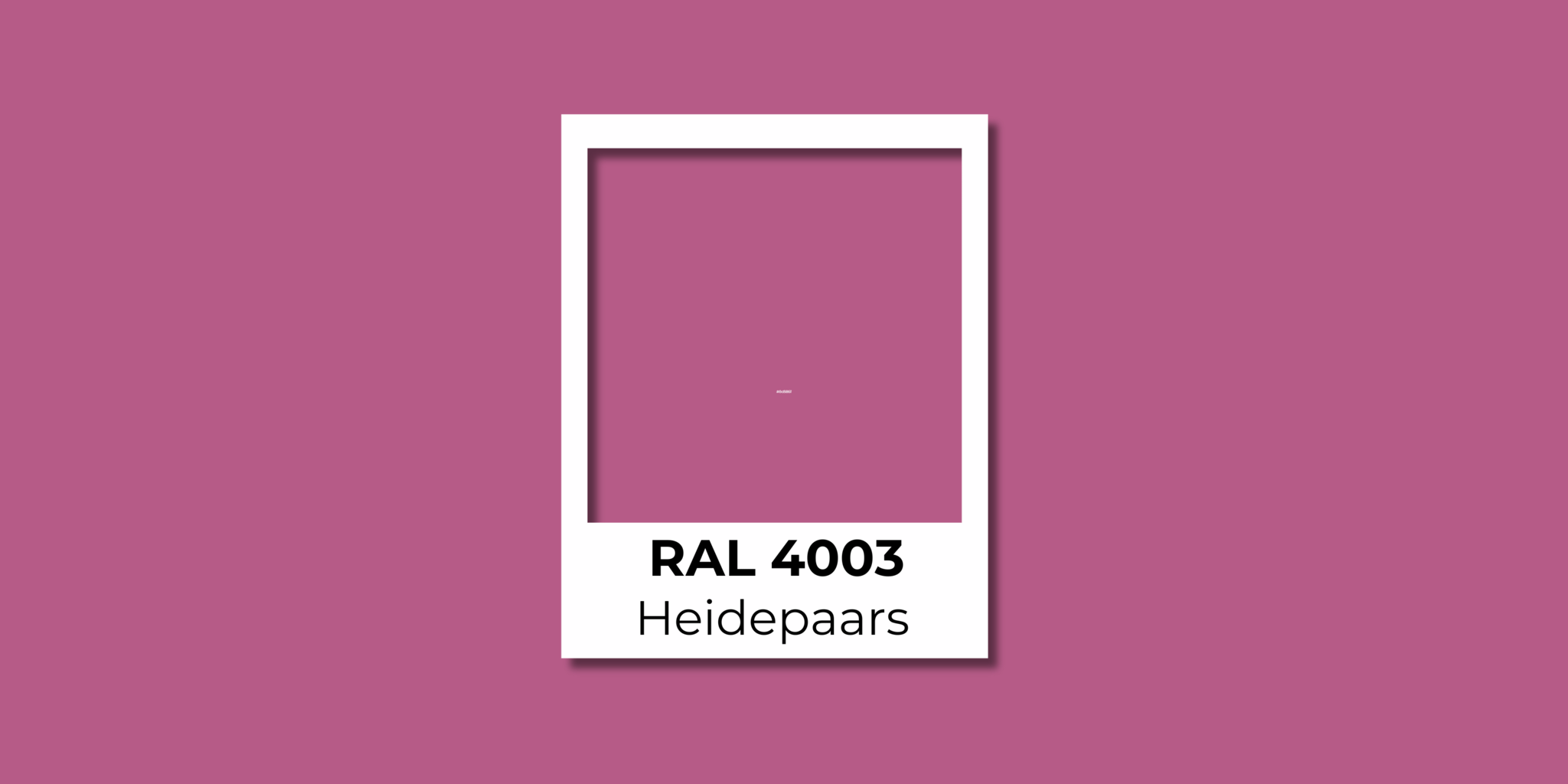 RAL 4003 Heidepaars