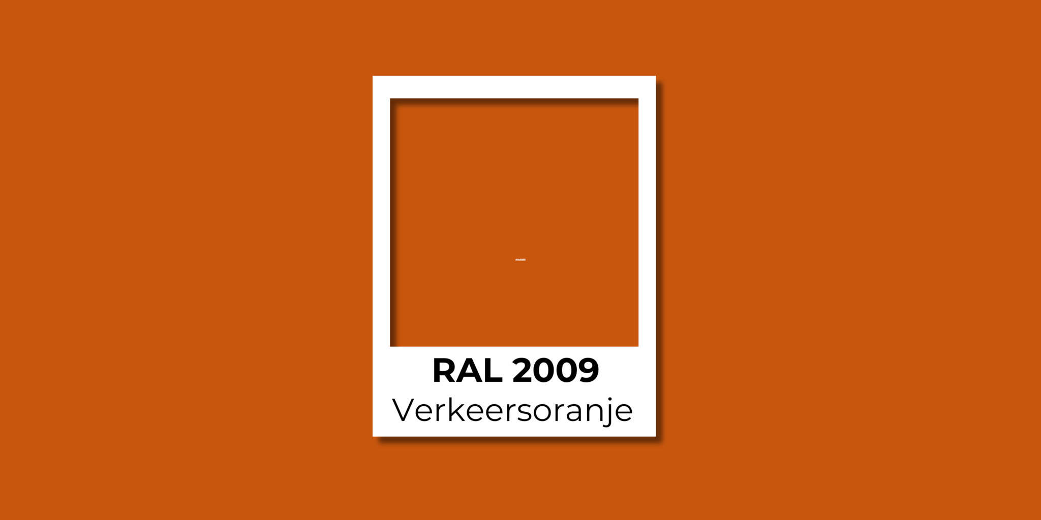 RAL 2009 Verkeersviolet