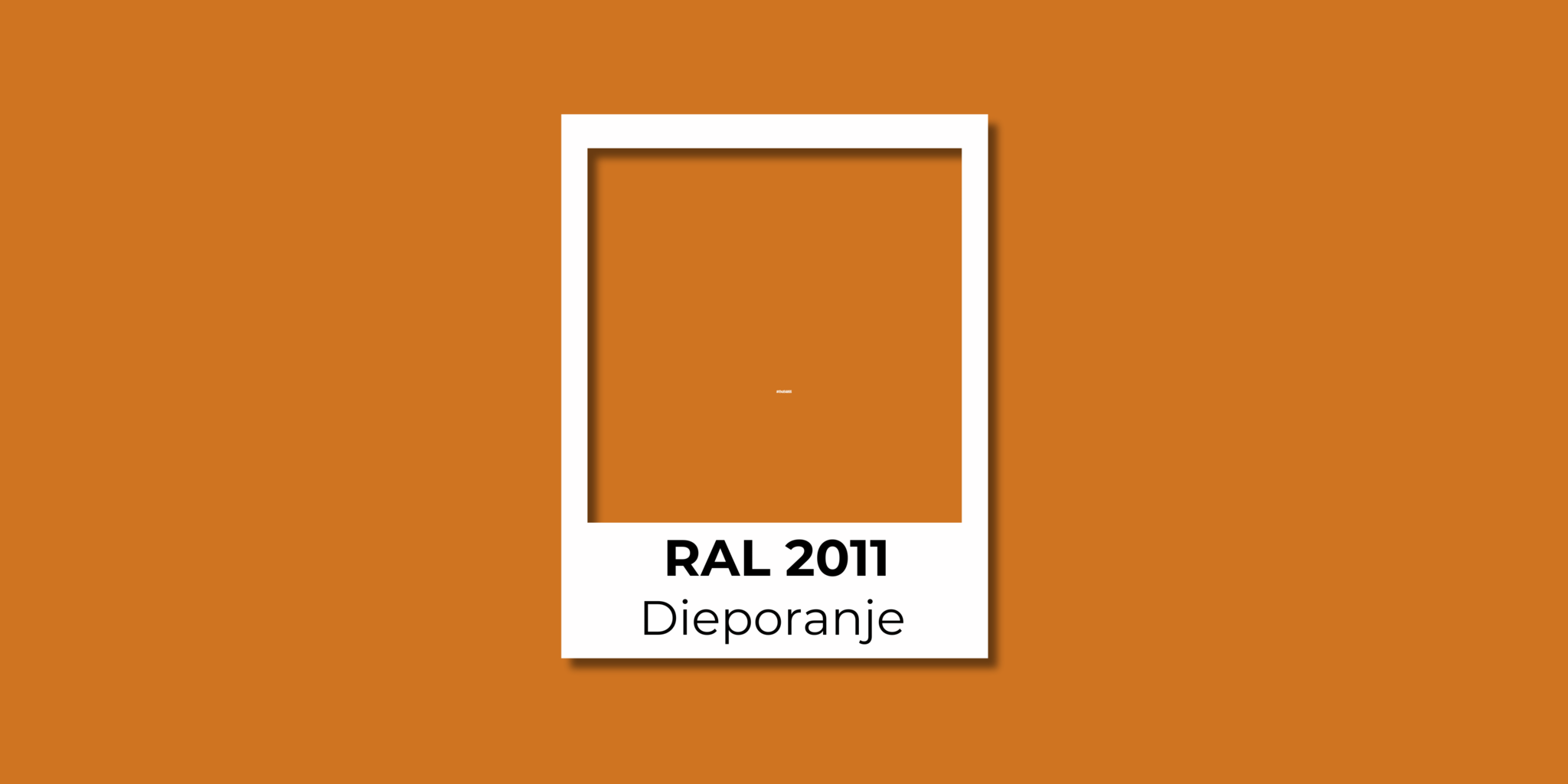 RAL 2011 Dieporanje