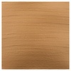 Royal Talens Acrylverf - 500 ml - Brons 811 Royal Talens Acrylverf - 500 ml - Brons 811