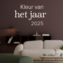 Histor Kleur van het jaar 2025 - Amethyst shadow
