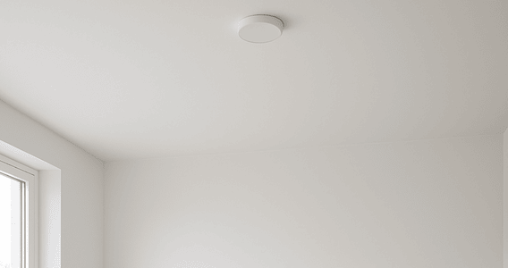 RAL 9003 plafond
