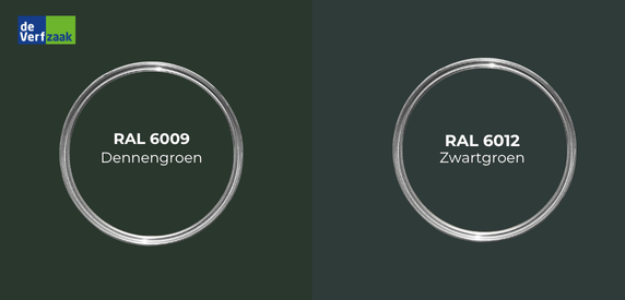 RAL 6012 vs 6009