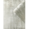 Galerie Boutique Behang met kalkbeton effect - F-VE5003