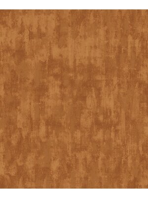 Galerie Boutique Behang met kalkbeton effect - F-VE5005