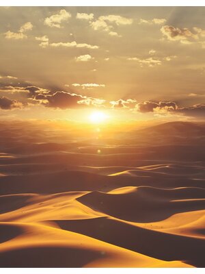 Noordwand Dune Fotobehang zonsondergang woestijn - Golden Sands - 32545 Noordwand Dune Fotobehang zonsondergang woestijn - Golden Sands - 32545