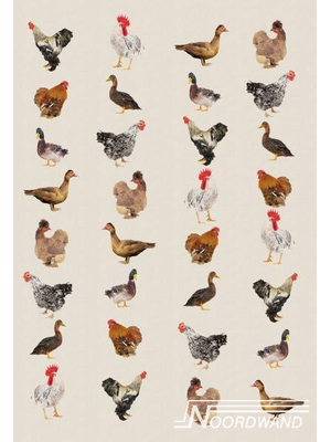 Noordwand Farmlife Behang kippen en ganzen - 3750026