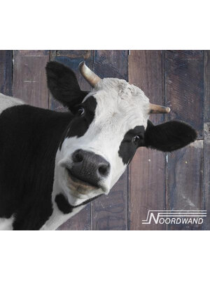 Noordwand Farmlife Behangposter koe - 3750074 Noordwand Farmlife Behangposter koe - 3750074